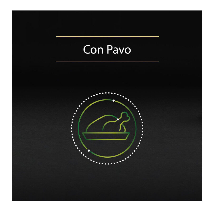 10 tarrinas x 85 g Pro Plan NutriSavour Sterilised 7+ Pavo tarrina para gatos, , large Imagen numero 6